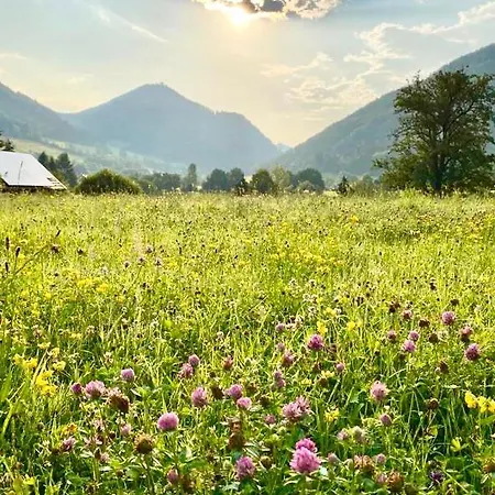 Sport Pensión Gaming