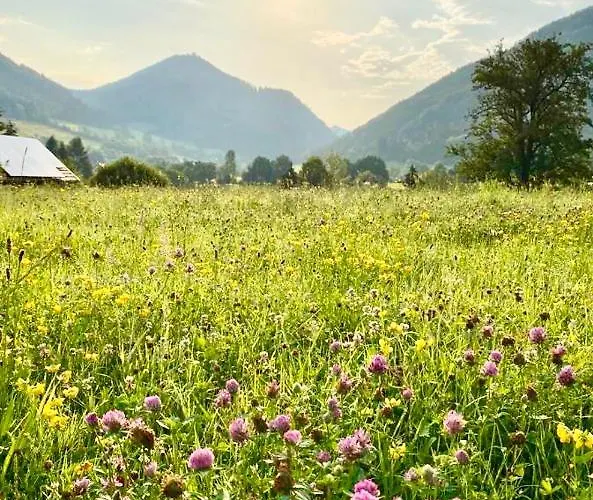 Sport Penzion Gaming